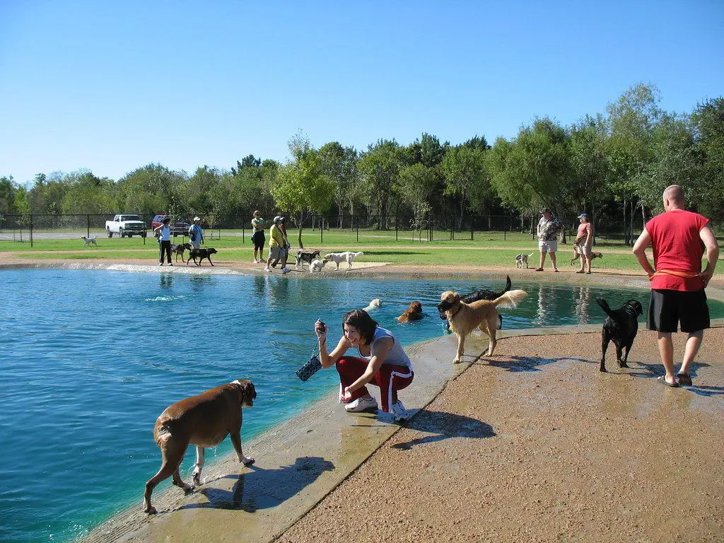bill-archer-park-park-1024x768.webp