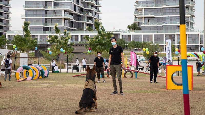 dog-park.jpg