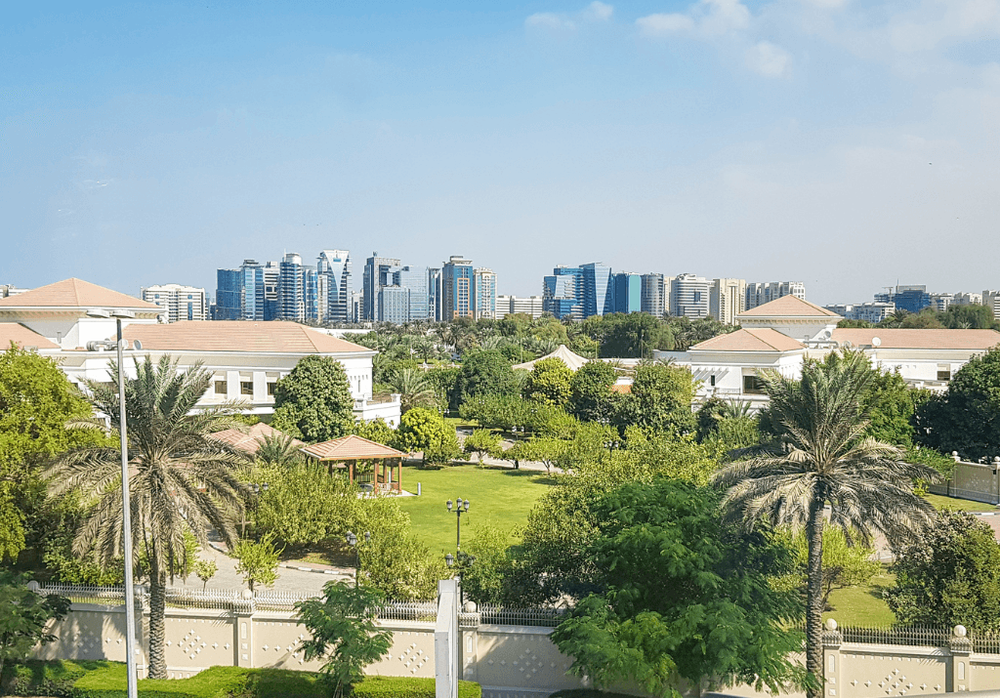 Shifts in the Market: Implications for Buyers and Investors